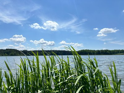 У Гідропарку в Житомирі купатися можна, але не рекомендують