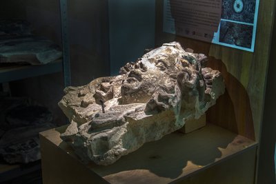 Йоганн Пфістер, скульптор 17 століття, скульптура Йоганн Пфістер, скульптор 17 століття, скульптура