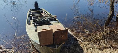 В нацпарку на Рівненщині відновлюють популяцію червонокнижного гоголя В нацпарку на Рівненщині відновлюють популяцію червонокнижного гоголя