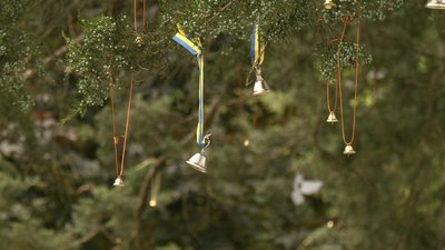 дзвіночки