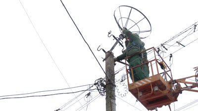 Встановлюють гнізда для лелек Встановлюють гнізда для лелек