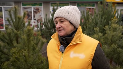 Ялинки та сосни у Чернігові: чи законно продають хвойні та які новорічні дерева популярні цьогоріч Ялинки та сосни у Чернігові: чи законно продають хвойні та які новорічні дерева популярні цьогоріч