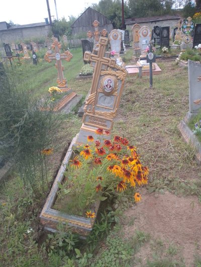 Негода у Житомирській області: рятувальники ліквідовують наслідки