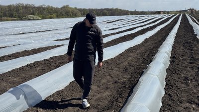 На Кіровоградщині на полі господарства вимерзла розсада кавунів: як компенсувати збитки і коли кавуни краще садити На Кіровоградщині на полі господарства вимерзла розсада кавунів: як компенсувати збитки і коли кавуни краще садити