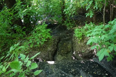 "Тут тварини травляться". На Сумщині зливають каналізаційні води поблизу села "Тут тварини травляться". На Сумщині зливають каналізаційні води поблизу села