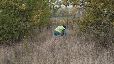 На Вінниччині триває осіння кампанія з вакцинації диких тварин На Вінниччині триває осіння кампанія з вакцинації диких тварин