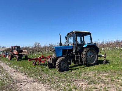 Погодні гойдалки: як фермери Черкащини рятують насадження від весняних морозів Погодні гойдалки: як фермери Черкащини рятують насадження від весняних морозів