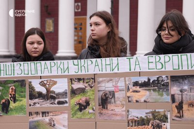 Одеський зоопарк акція 27 лютого 2026 Одеський зоопарк акція 27 лютого 2026