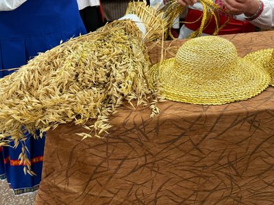На Вінниччині майстер понад 30 років плете капелюхи з вівса На Вінниччині майстер понад 30 років плете капелюхи з вівса