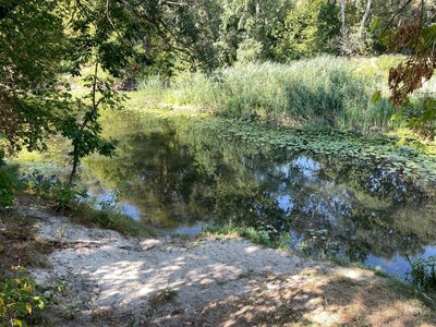 Рівень води у річках Полтавщини близький до критичного: до чого це може при призвести Рівень води у річках Полтавщини близький до критичного: до чого це може при призвести