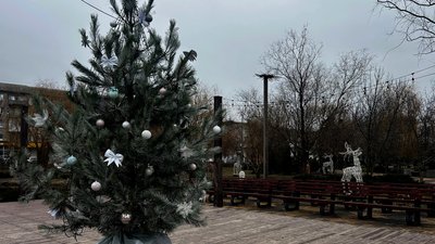 Святкові, випадкові. Ялинки з Донеччини напередодні 2025 року: фотодобірка