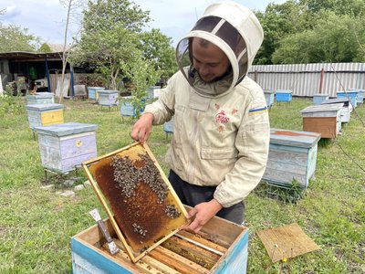 Бджолярі Полтавщини прогнозують здорожчання меду через несприятливу погоду Бджолярі Полтавщини прогнозують здорожчання меду через несприятливу погоду