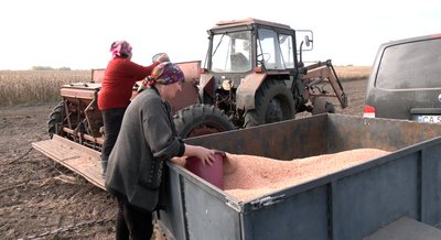 Посівна під тиском цін: як фермери засівають новий врожай Посівна під тиском цін: як фермери засівають новий врожай