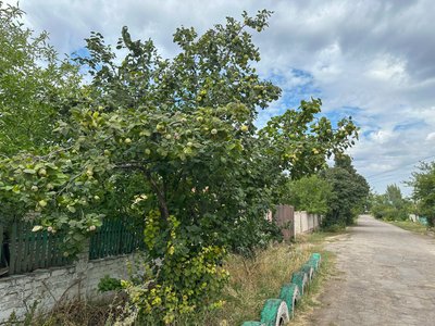 прифронтове село евакуація примусова евакуація родини діти люди Іллінівка Іллінівська громада Донецька область 10 вересня 2024 рік прифронтове село евакуація примусова евакуація родини діти люди Іллінівка Іллінівська громада Донецька область 10 вересня 2024 рік