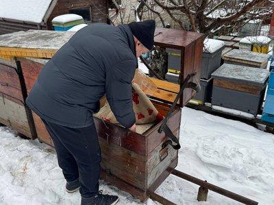"Головне — врятувати від голоду": як вінницький пасічник допомагає бджолам перезимувати "Головне — врятувати від голоду": як вінницький пасічник допомагає бджолам перезимувати