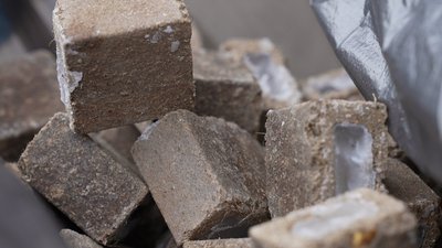 «Сказ не лікується, його можна лише профілактувати»: у двох районах Кіровоградщини вакцинують диких тварин «Сказ не лікується, його можна лише профілактувати»: у двох районах Кіровоградщини вакцинують диких тварин