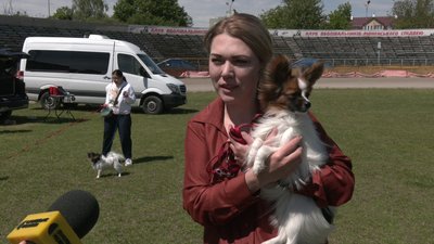 Понад 70 порід собак взяли участь у Національній виставці "Скарби Суренжу" у Рівному Понад 70 порід собак взяли участь у Національній виставці "Скарби Суренжу" у Рівному