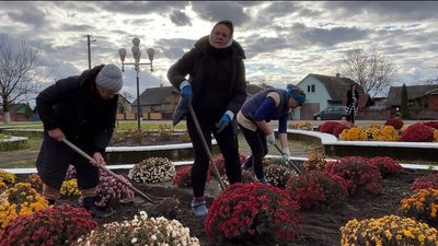Кулясті хризантеми із центральної клумби села розіграли за донати на ЗСУ на Рівненщині Кулясті хризантеми із центральної клумби села розіграли за донати на ЗСУ на Рівненщині