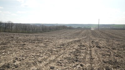 На Вінниччині планують засіяти майже 400 тисяч гектарів кукурудзою На Вінниччині планують засіяти майже 400 тисяч гектарів кукурудзою