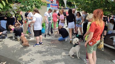 У Вінниці відбувся напівмарафон Vinnytsia Run 2025 У Вінниці відбувся напівмарафон Vinnytsia Run 2025