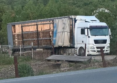 На Львівщині двох чоловіків підозрюють у контрабанді лісоматеріалів
