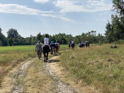 Іпотерапія на Полтавщині Іпотерапія на Полтавщині