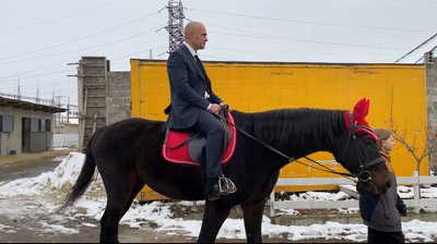 Назар Журба, кінь, освідчення Назар Журба, кінь, освідчення