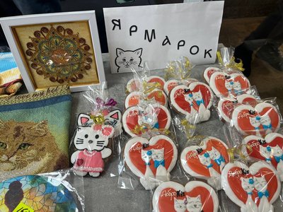 Донатили і прилаштовували тварин — у Черкасах відзначили сьому річницю "Доброкота" Донатили і прилаштовували тварин — у Черкасах відзначили сьому річницю "Доброкота"