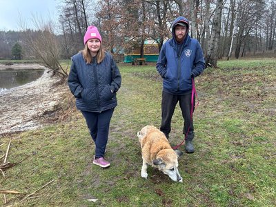 "Таємний Санта для безпритульних тварин": волинські активісти збирають корм для собак і котів "Таємний Санта для безпритульних тварин": волинські активісти збирають корм для собак і котів