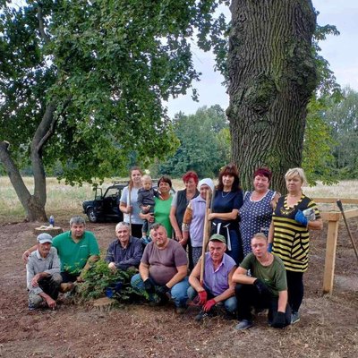 Козацький дуб, що годував селян під час голодомору: на Черкащині росте 400-літній велет Козацький дуб, що годував селян під час голодомору: на Черкащині росте 400-літній велет