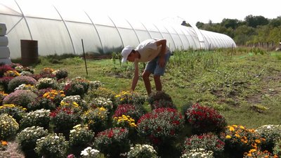 "Дивлюсь на рослини та бачу, коли вони хочуть їсти, а коли — любові": моряк з Хмельниччини зайнявся вирощуванням квітів "Дивлюсь на рослини та бачу, коли вони хочуть їсти, а коли — любові": моряк з Хмельниччини зайнявся вирощуванням квітів