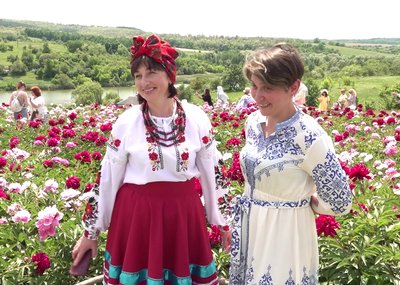 У Холодному Яру на Черкащині розквітли три тисячі кущів півоній У Холодному Яру на Черкащині розквітли три тисячі кущів півоній