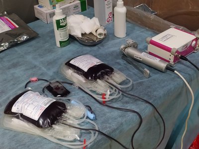 Стартувала кампанія популяризації донорства "Розквітай" від ДонорUA Стартувала кампанія популяризації донорства "Розквітай" від ДонорUA