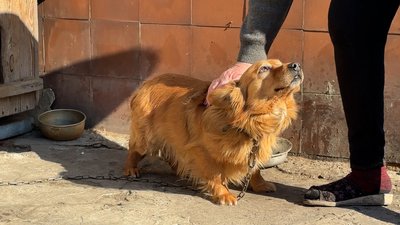 селище Ярова пес Вулкан Лиманська громада Донецька область 7 березня 2025 рік селище Ярова пес Вулкан Лиманська громада Донецька область 7 березня 2025 рік