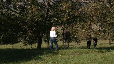 сад, крилос сад, крилос