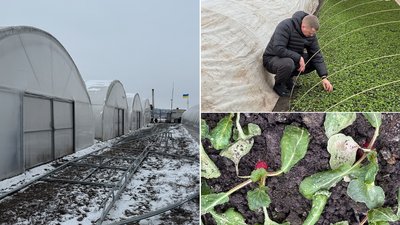Понад 2700 агрогосподарств Кіровоградщини не відповідають новим вимогам бронювання працівників: які критерії Понад 2700 агрогосподарств Кіровоградщини не відповідають новим вимогам бронювання працівників: які критерії