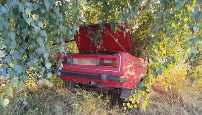 В'їхав у дерево: у ДТП на Черкащині загинув чоловік