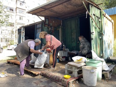 У Полтаві почали здавати каштани: скільки можна заробити на плодах У Полтаві почали здавати каштани: скільки можна заробити на плодах
