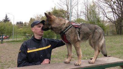 Шукають людей у лісі, на воді та під завалами: історії собак-пошуковиць Нагайни та Луни з Рівненщини Шукають людей у лісі, на воді та під завалами: історії собак-пошуковиць Нагайни та Луни з Рівненщини