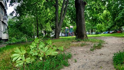 Штормове попередження у Харкові і області