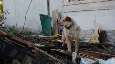 Наслідки ракетної атаки по Миколаєву: фоторепортаж Наслідки ракетної атаки по Миколаєву: фоторепортаж