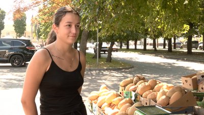 Ціну диктує сезон: чи здорожчали дині у Черкасах