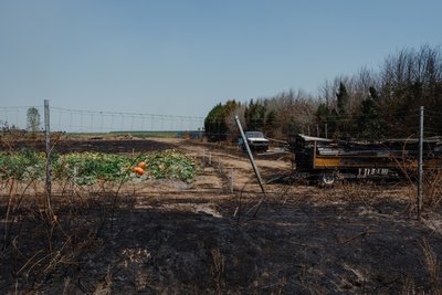 Франція, фермерство, фермера, урожай, сільське господарство, посуха, пожежі Франція, фермерство, фермера, урожай, сільське господарство, посуха, пожежі