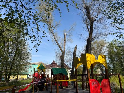 Дитячий майданчик, де обвалилися дерева у Новоселиці на Буковині та травмувалася 11-річна дівчинка Дитячий майданчик, де обвалилися дерева у Новоселиці на Буковині та травмувалася 11-річна дівчинка