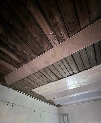 Відновлюють стелю та збирають кошти на корм: як працює притулок для тварин у Хмельницькому після вибухів 31 липня Відновлюють стелю та збирають кошти на корм: як працює притулок для тварин у Хмельницькому після вибухів 31 липня