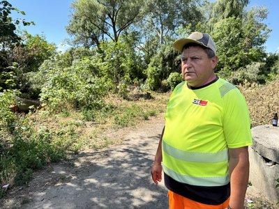 Як у Полтаві розчищають узбережжя Ворскли від аварійних та сухих дерев Як у Полтаві розчищають узбережжя Ворскли від аварійних та сухих дерев