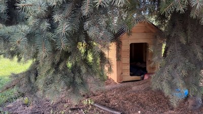 Місцевий підприємець встановив будиночок для Пашки, травень 2026 року, Хмельниччина Місцевий підприємець встановив будиночок для Пашки, травень 2026 року, Хмельниччина