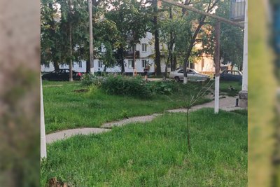 В селищі на Житомирщині 8-річного хлопчика вкусила гадюка В селищі на Житомирщині 8-річного хлопчика вкусила гадюка
