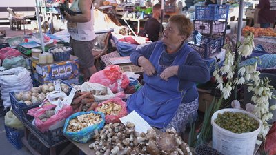 Збирають для себе і на продаж: на Вінниччині триває сезон дикорослих грибів Збирають для себе і на продаж: на Вінниччині триває сезон дикорослих грибів