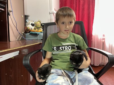 “Ожило село”: у селі Батьки на Полтавщині після приїзду сімей ВПО збільшилась кількість дітей “Ожило село”: у селі Батьки на Полтавщині після приїзду сімей ВПО збільшилась кількість дітей